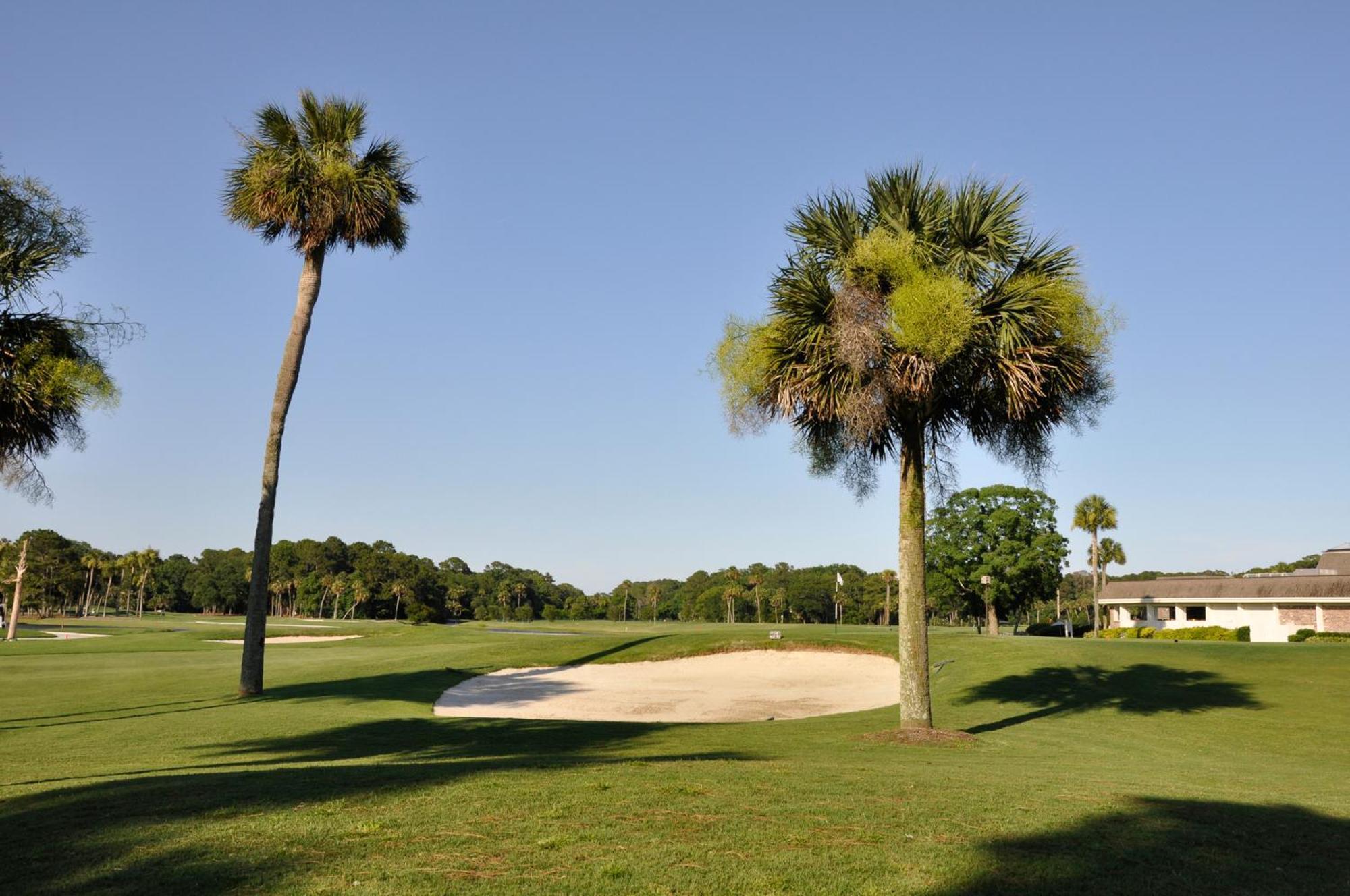 Dunes Villas Hilton Head Island Rum bild